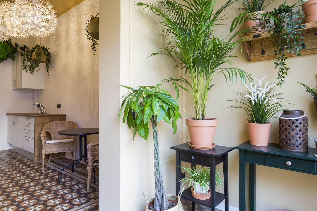 Casa Maca Barcelona (Adults Only) Hotel Luaran gambar
